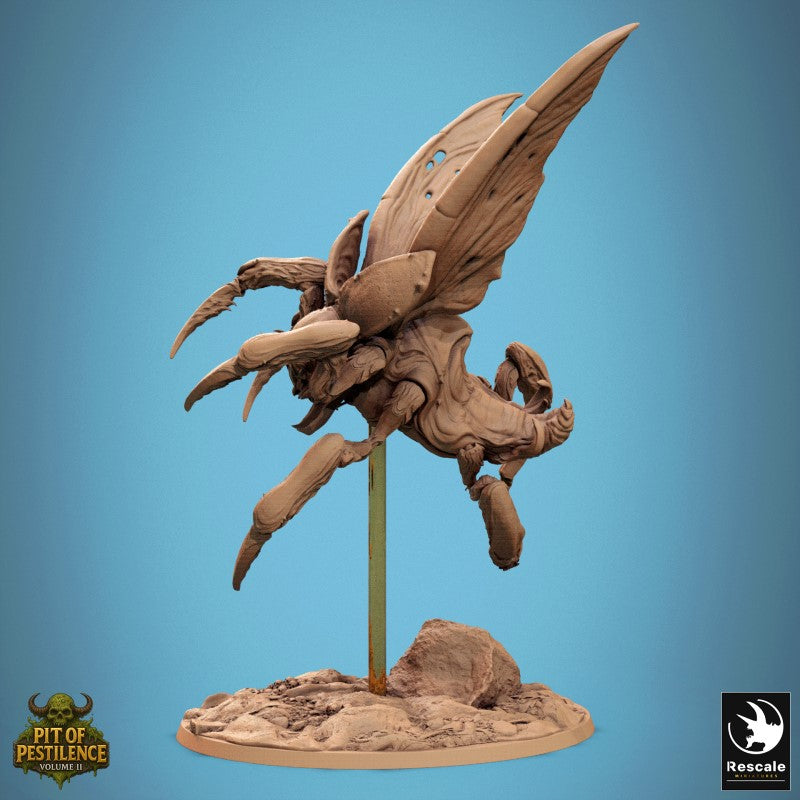 Scarab Host Fly - Jump