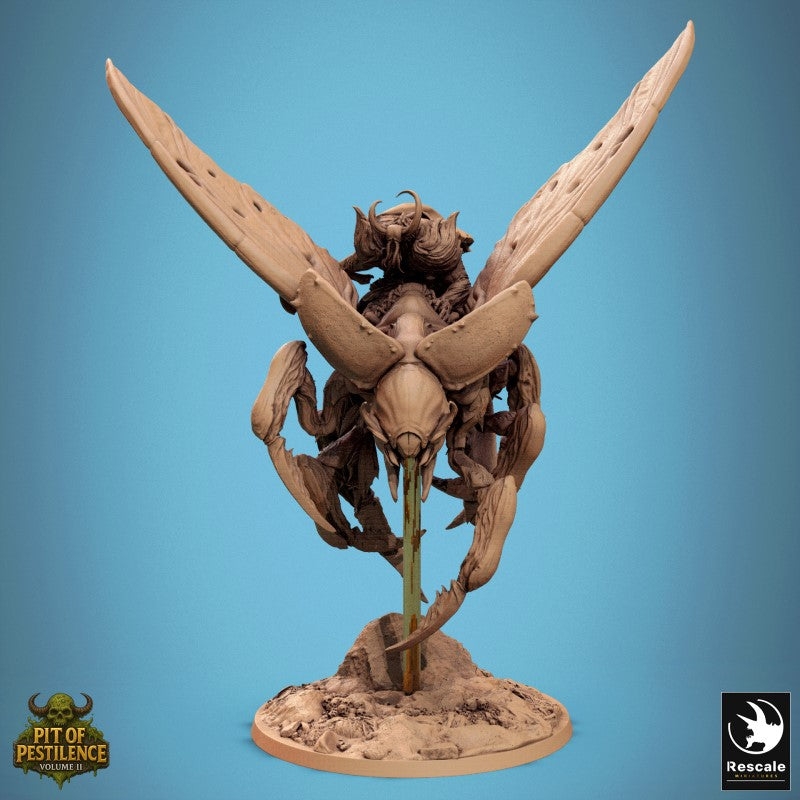 Scarab Host Fly - Look