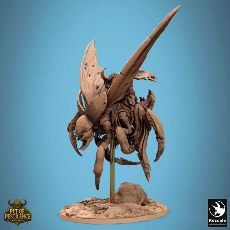 Scarab Host Fly - Look