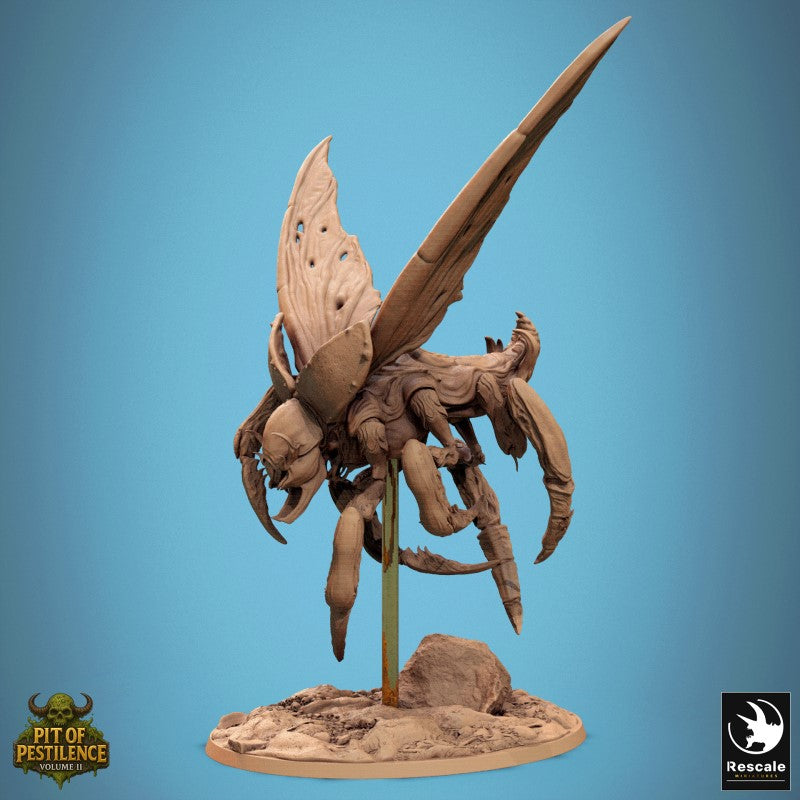Scarab Host Fly - Look