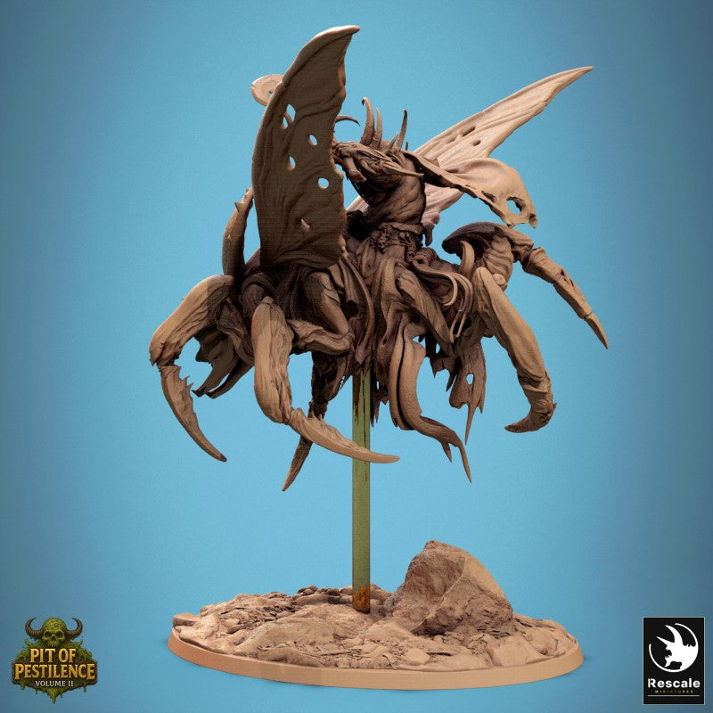 Scarab Host Fly - Stand