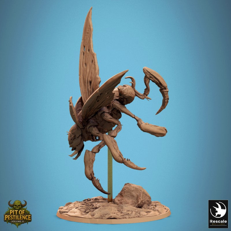 Scarab Host Fly - Turn