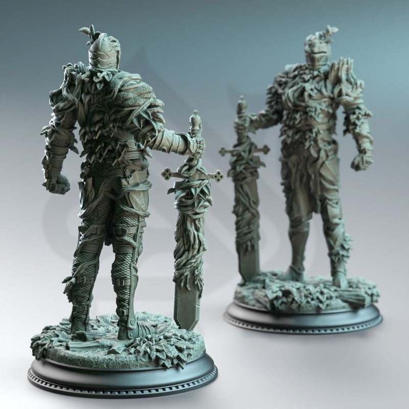 Forgotten Knights