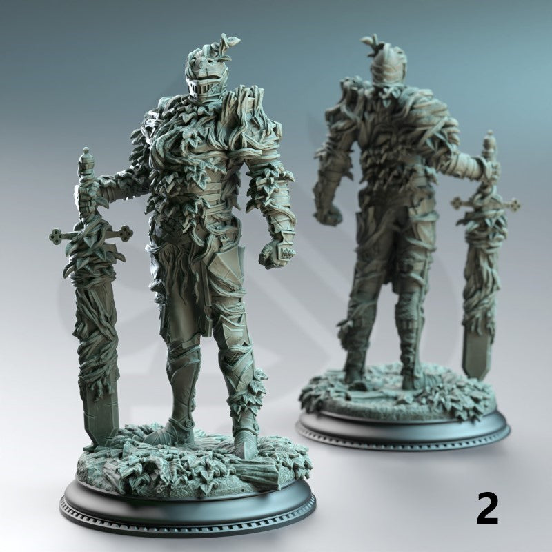 Forgotten Knights