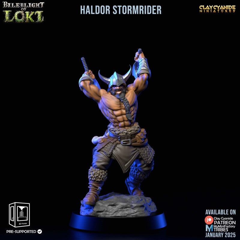 Haldor Stormrider