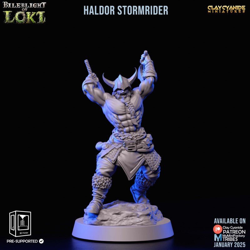 Haldor Stormrider