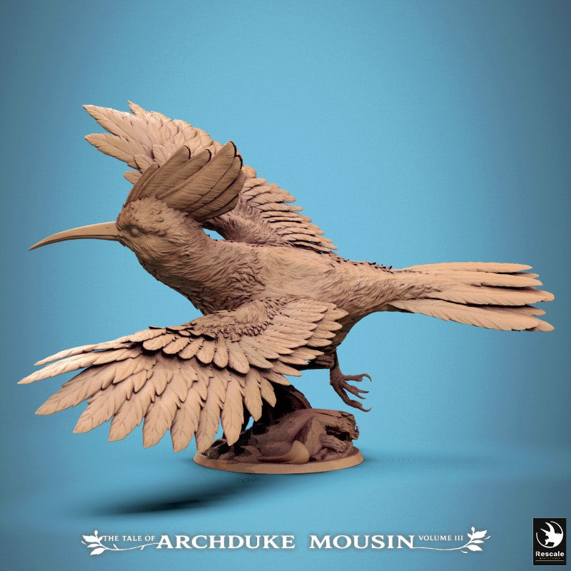 Hoopoe - Fly