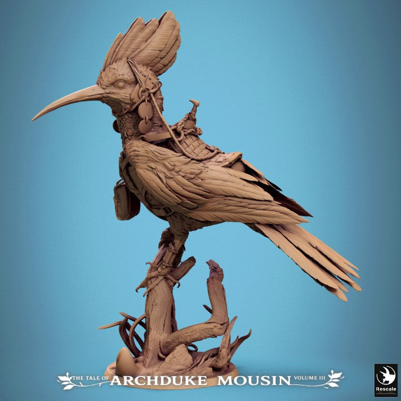 Hoopoe - Stand