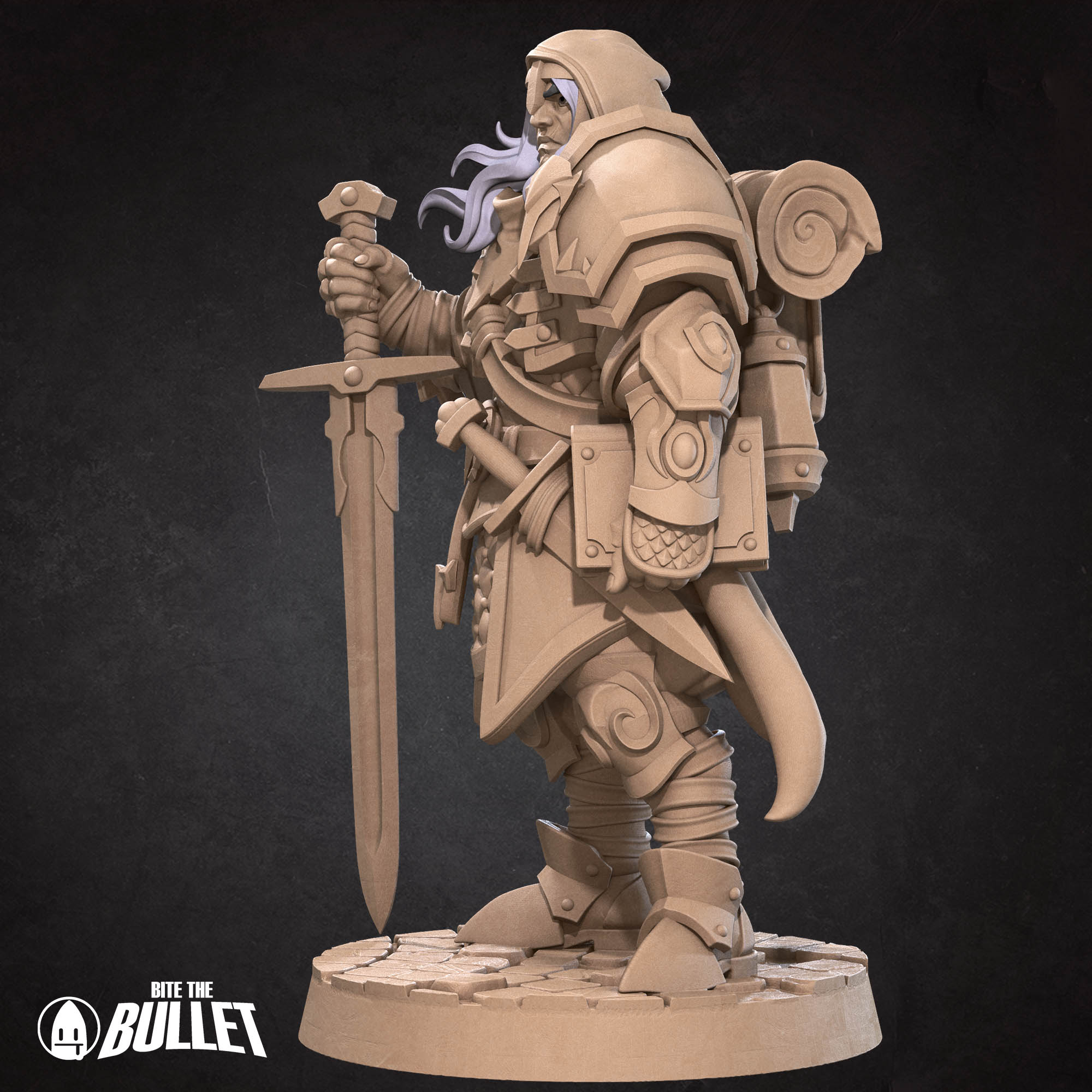 Human Paladin