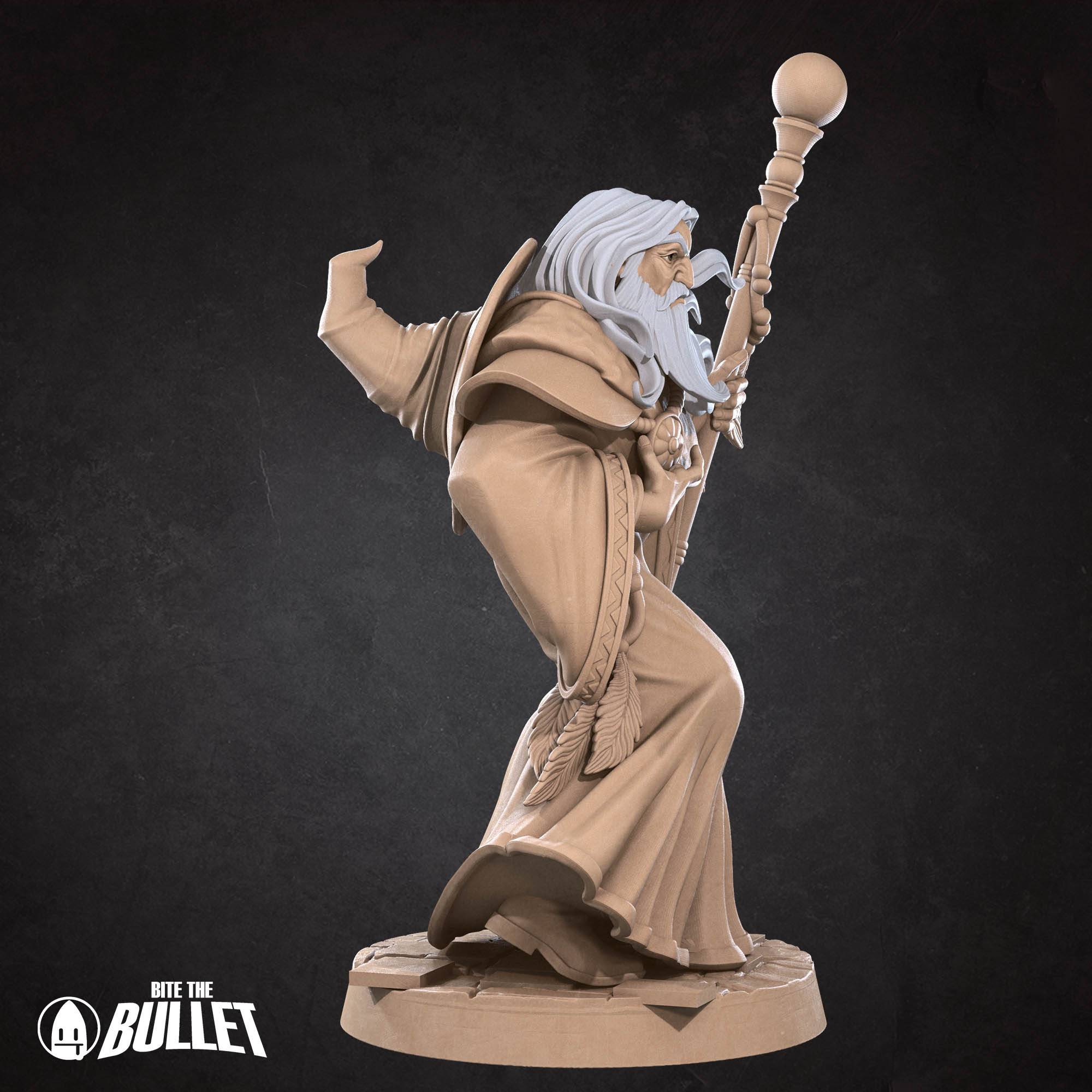 Human Wizard