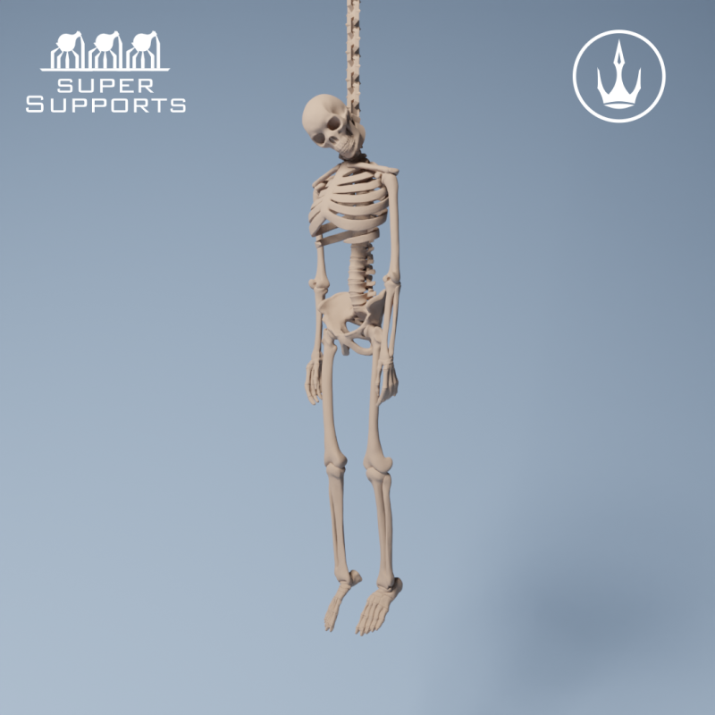 Human Skeleton - Group 5