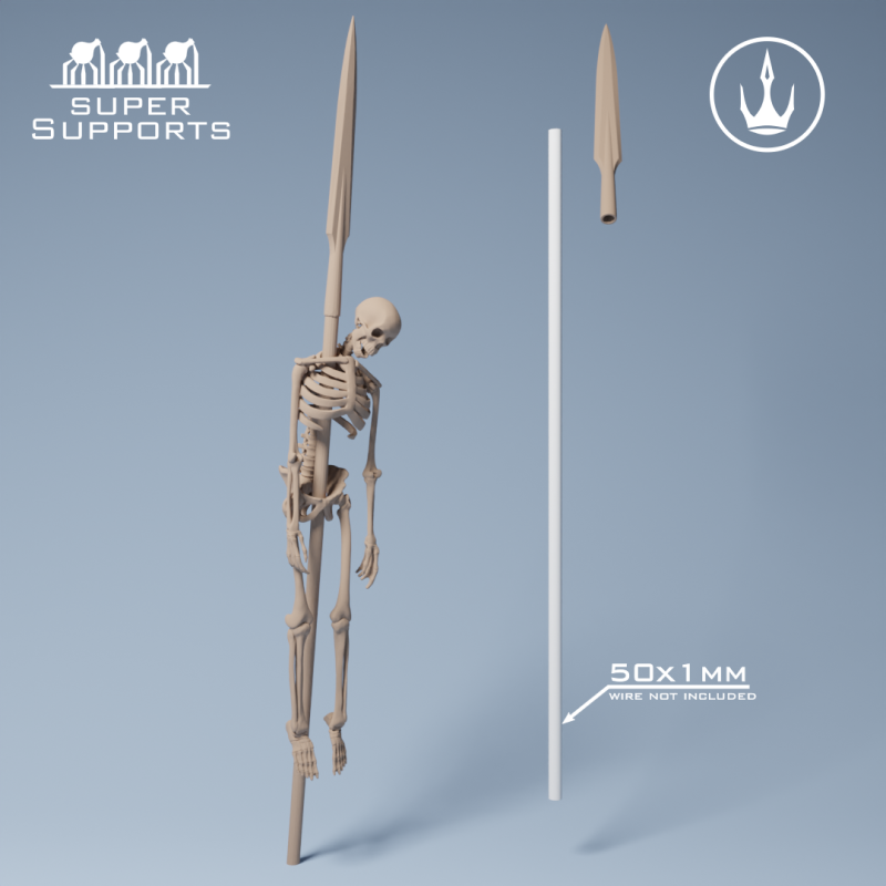 Human Skeleton - Group 5