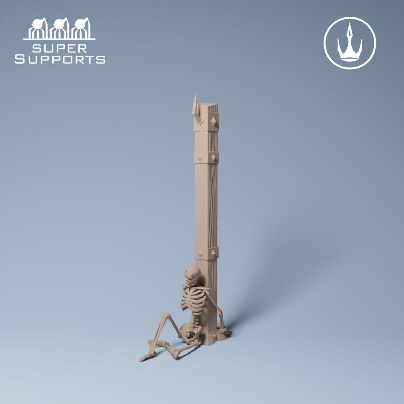 Human Skeleton - Group 3