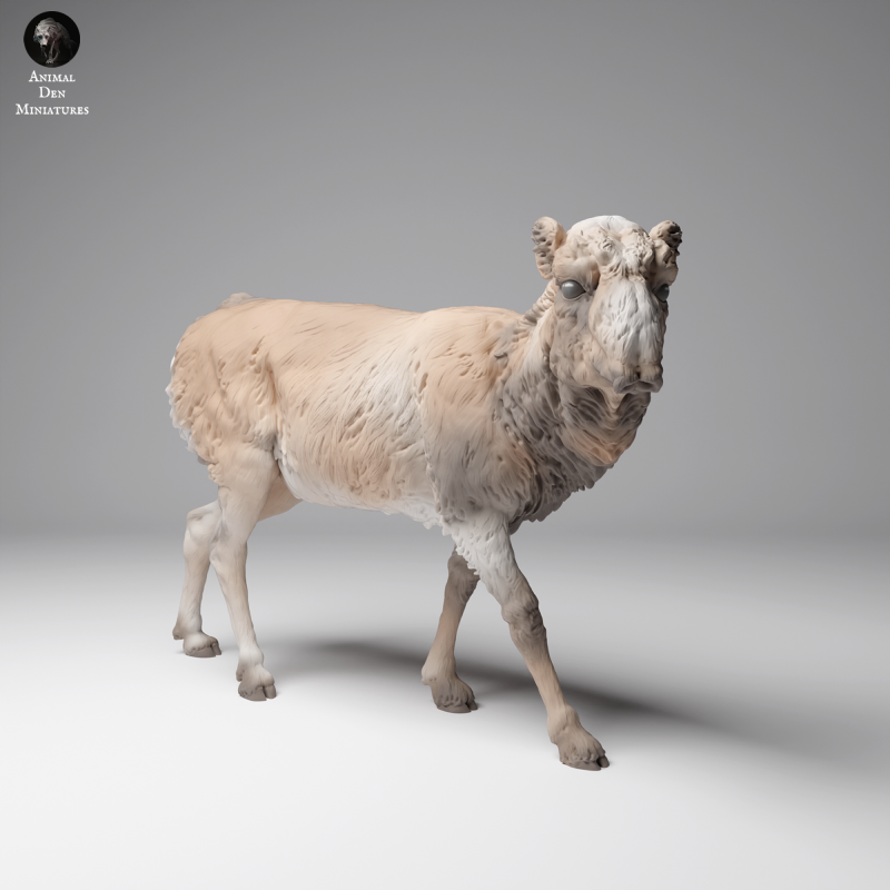Saiga
