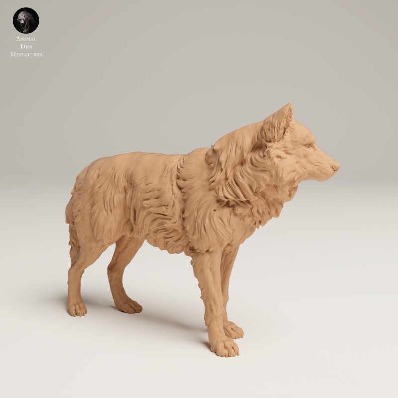 Grey Wolf - 1-24