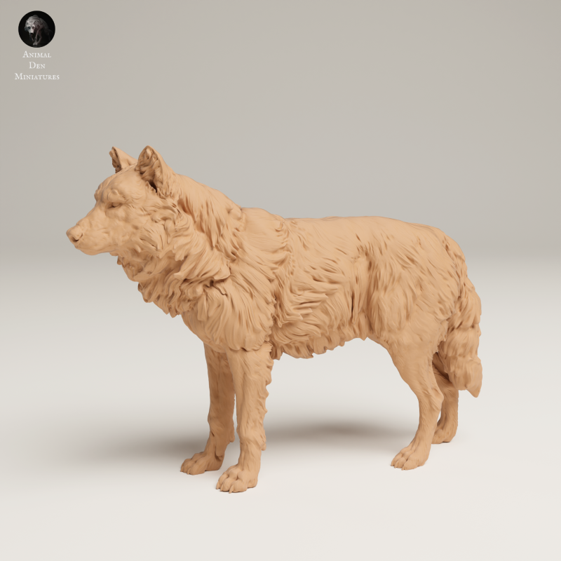 Grey Wolf - 1-24