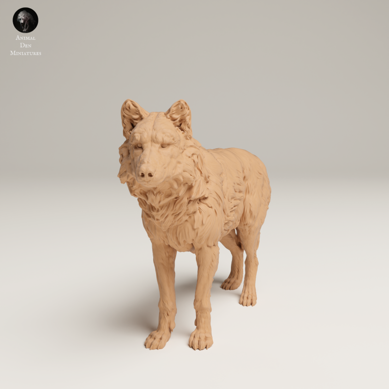 Grey Wolf - 1-24