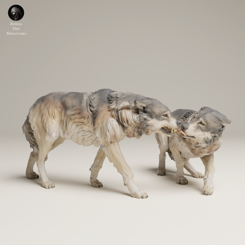 Grey Wolves - Aggressive - 1-24