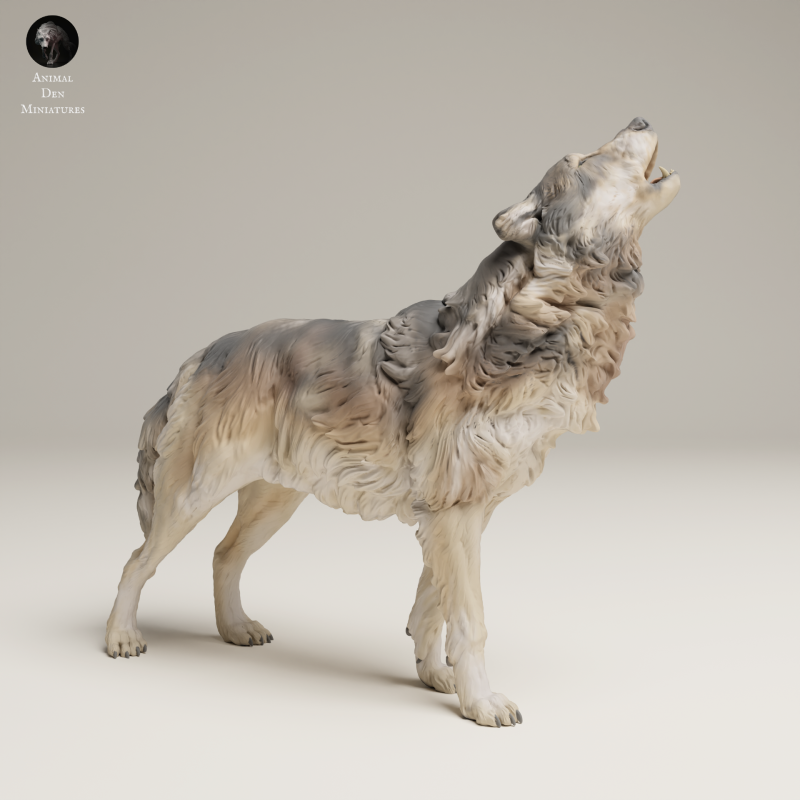 Grey Wolf Howl - 1-24