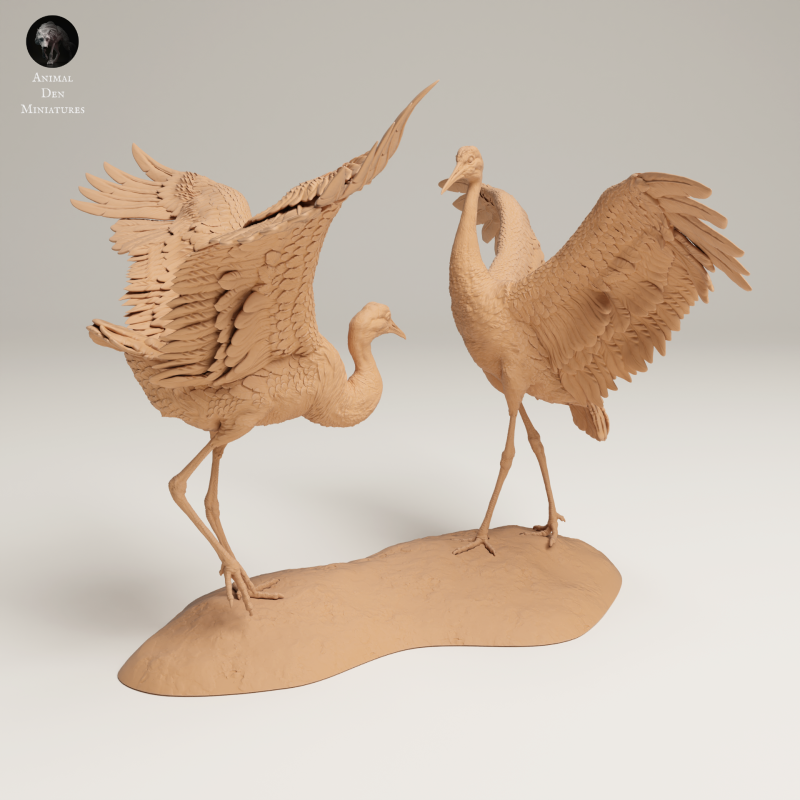 Greater Sandhill Crane Dance 1-24