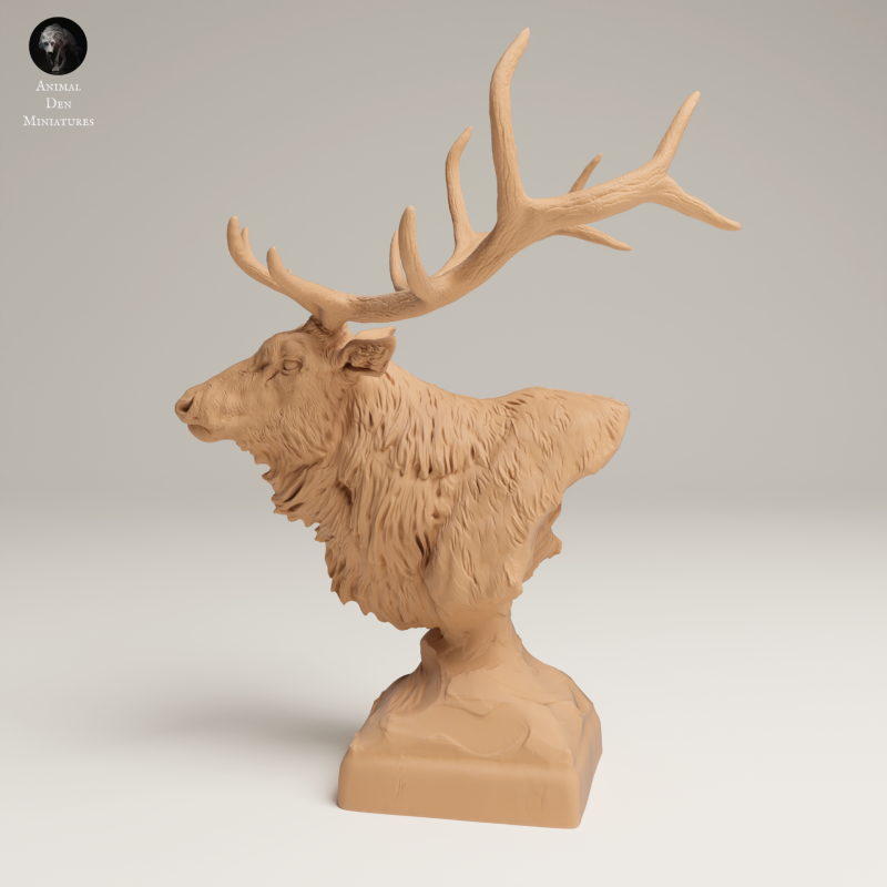 Rocky Mountain Elk - Bust - 1-16