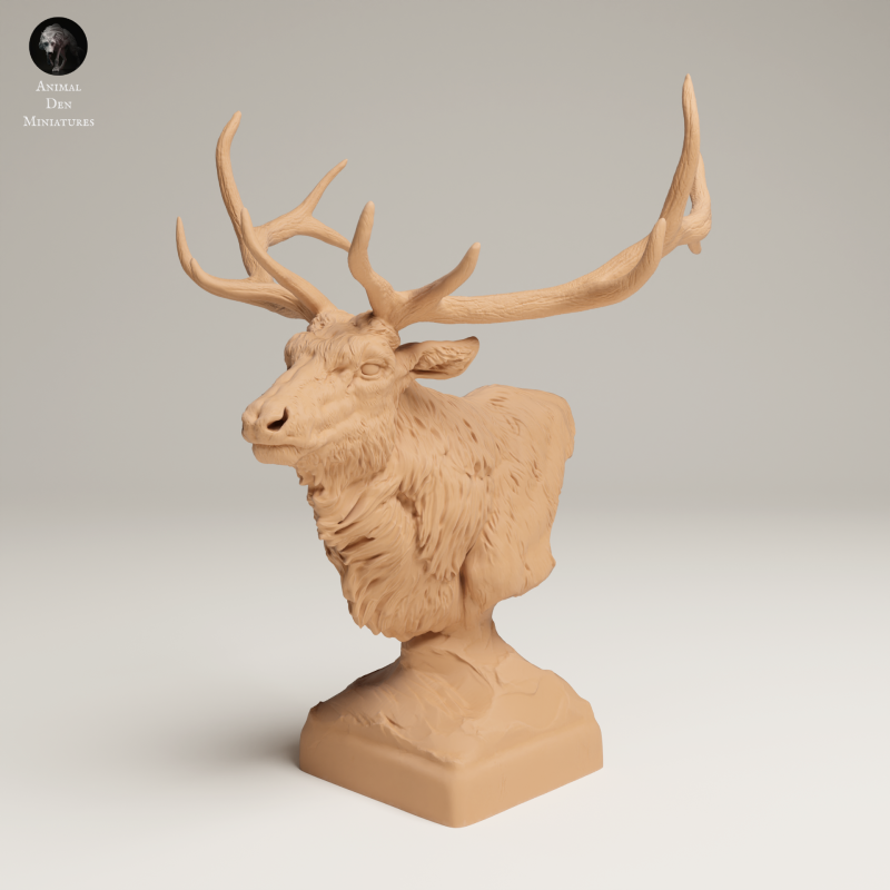 Rocky Mountain Elk - Bust - 1-16