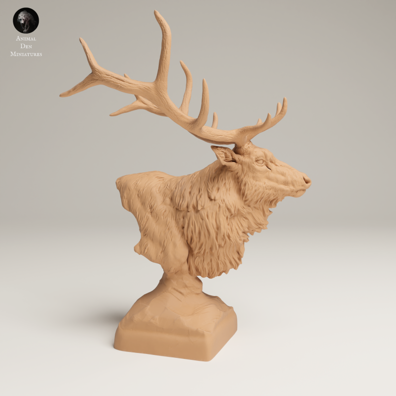 Rocky Mountain Elk - Bust - 1-16