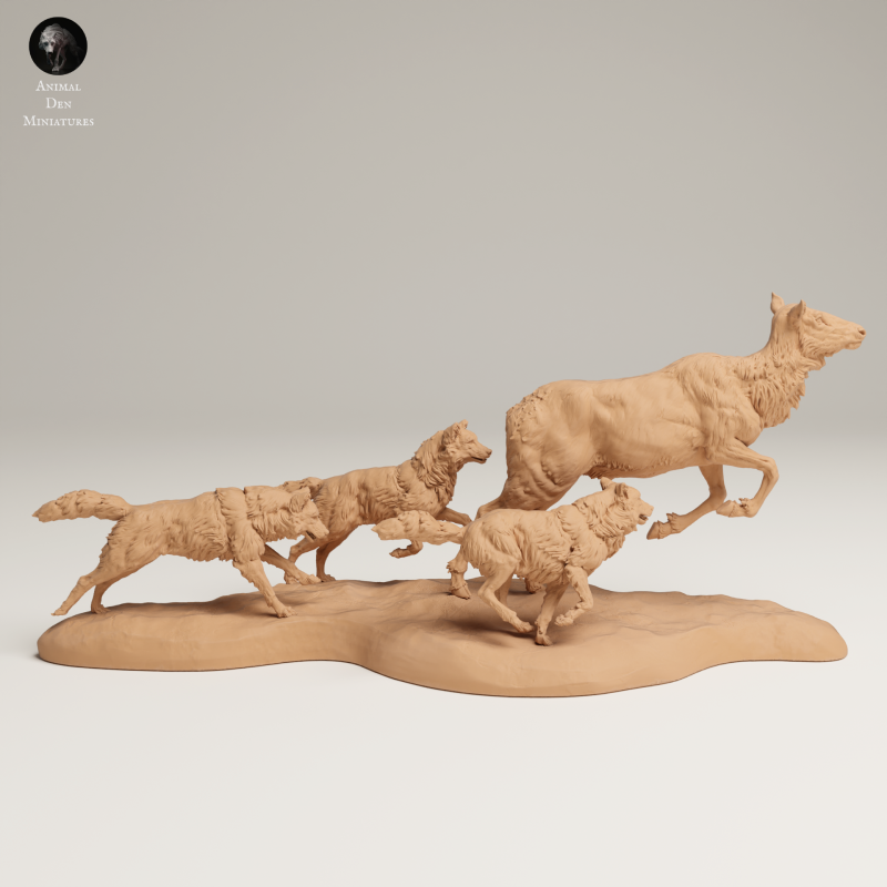 Grey Wolves - Hunting Elk Cow - 1-24
