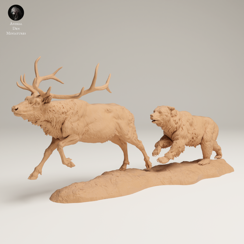 Grizzly - Hunting Elk - 1-24