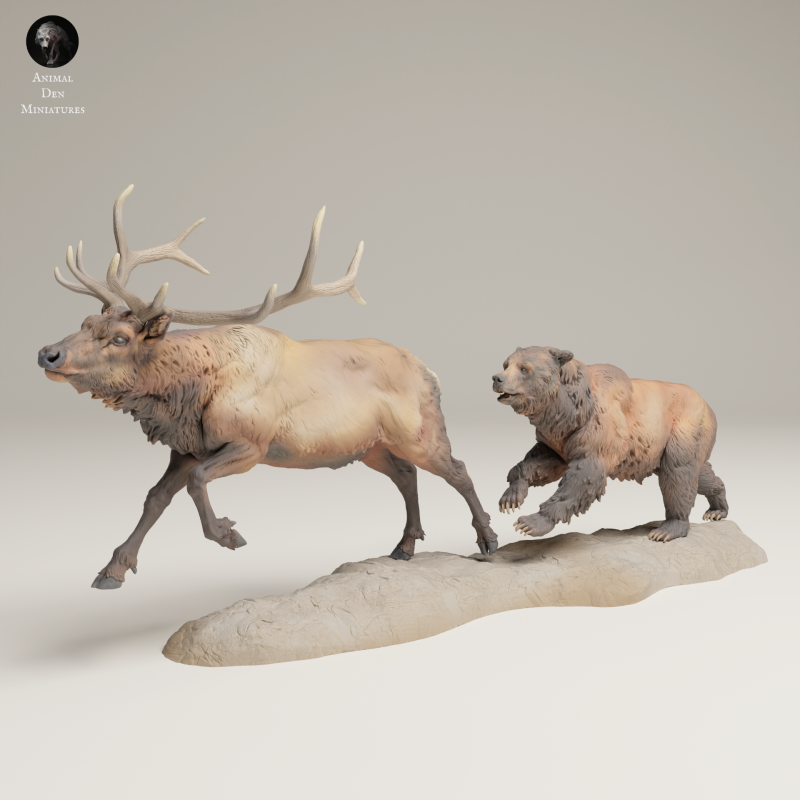 Grizzly - Hunting Elk - 1-24