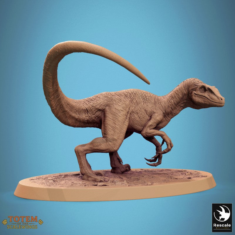 Velociraptor - Look