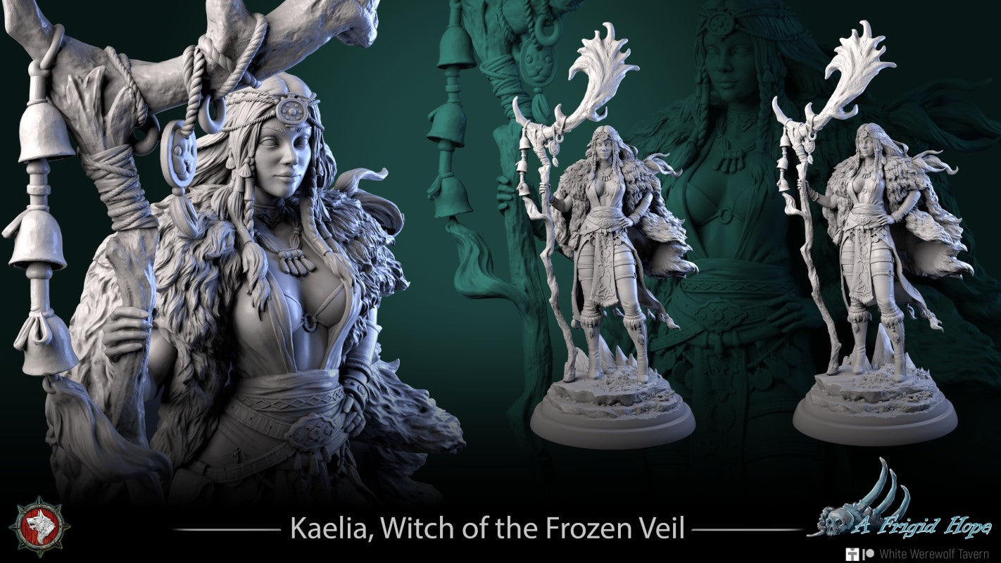 Kaelia - Witch of the Frozen Veil