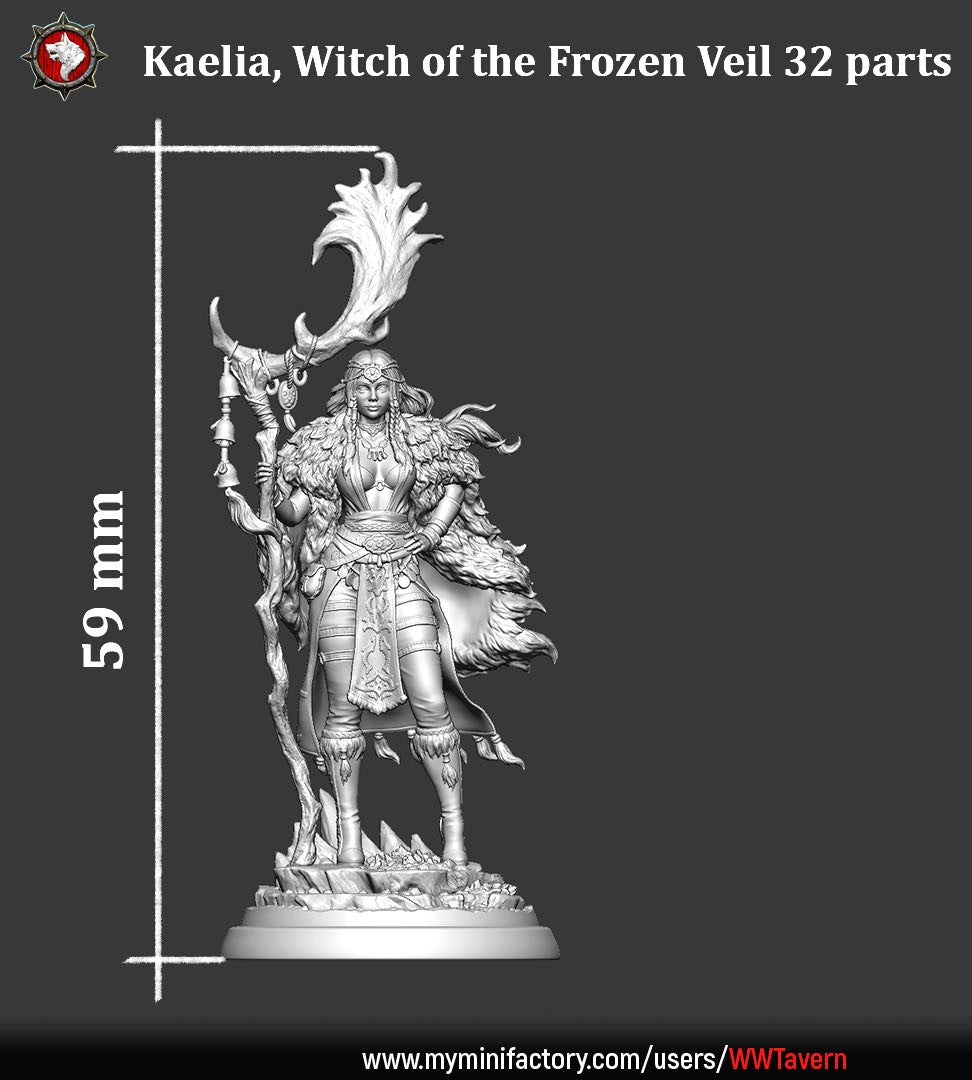 Kaelia - Witch of the Frozen Veil