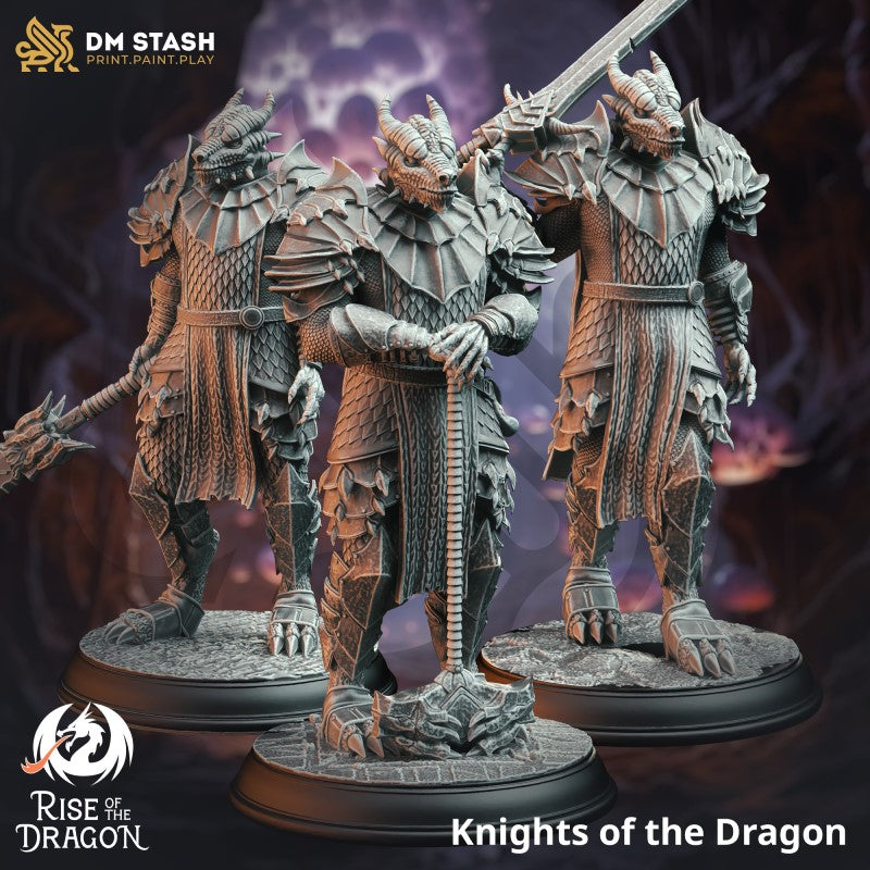 Miniature Knight of the Dragon by DM Stash