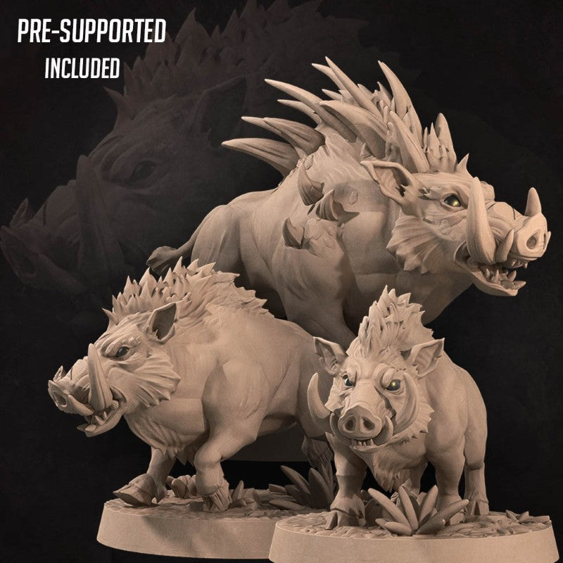 Boars