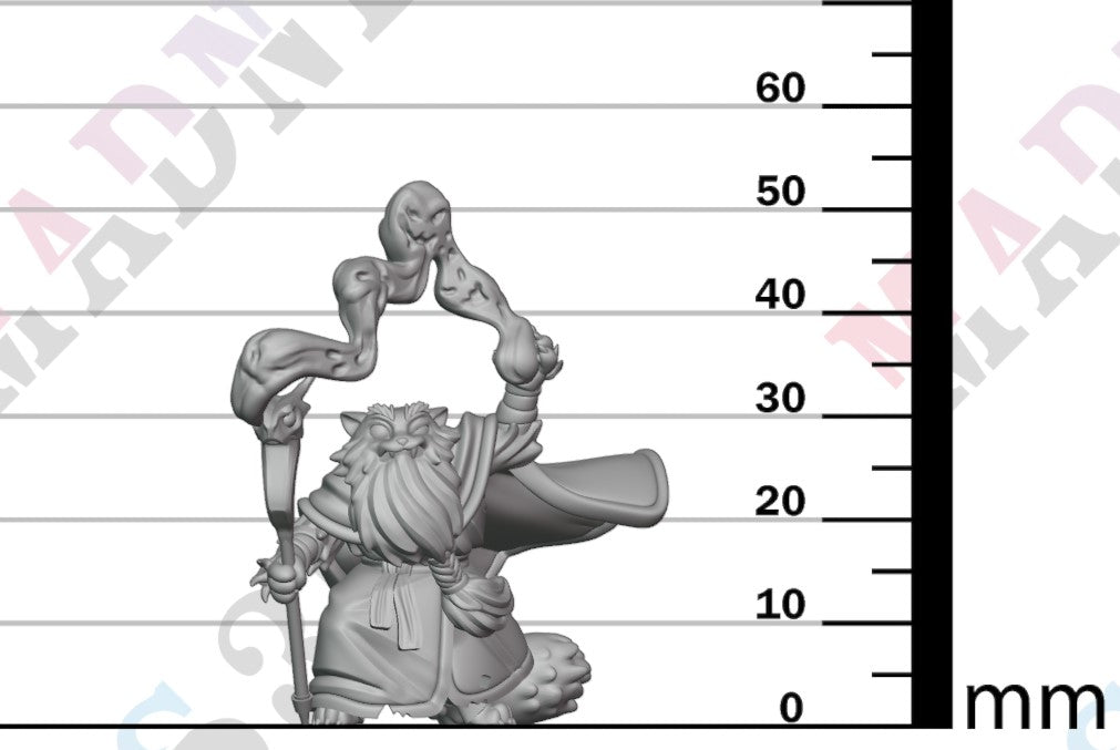 Paltuun Warlock - Male