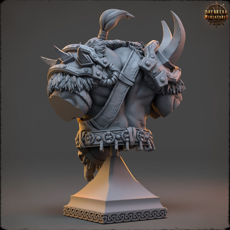 Medhren Iceslice - Bust