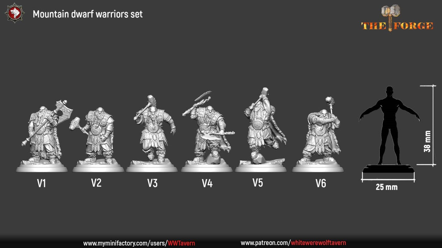 Mountain Dwarf Warrior Set