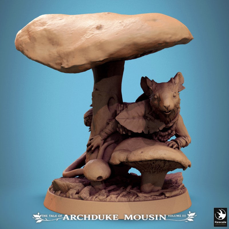 Mouse - Mushroom Hide A