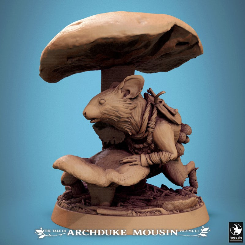 Mouse - Mushroom Hide A