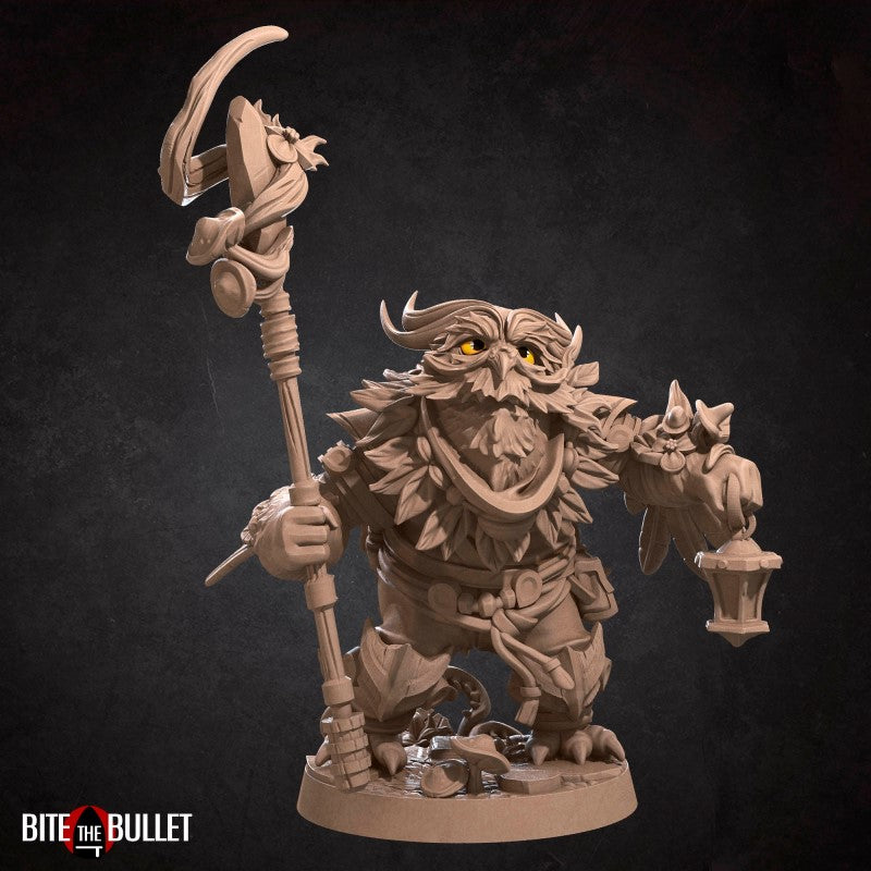 miniature Owl Druid by Bite the Bullet
