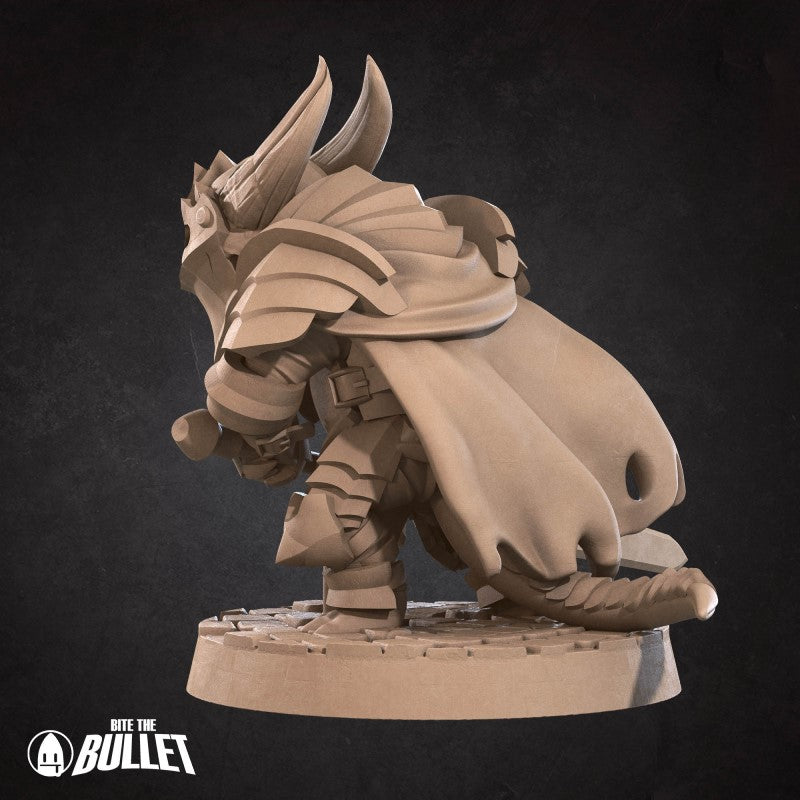 Kobold - Paladin