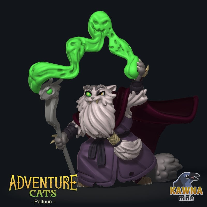 Paltuun Warlock - Male