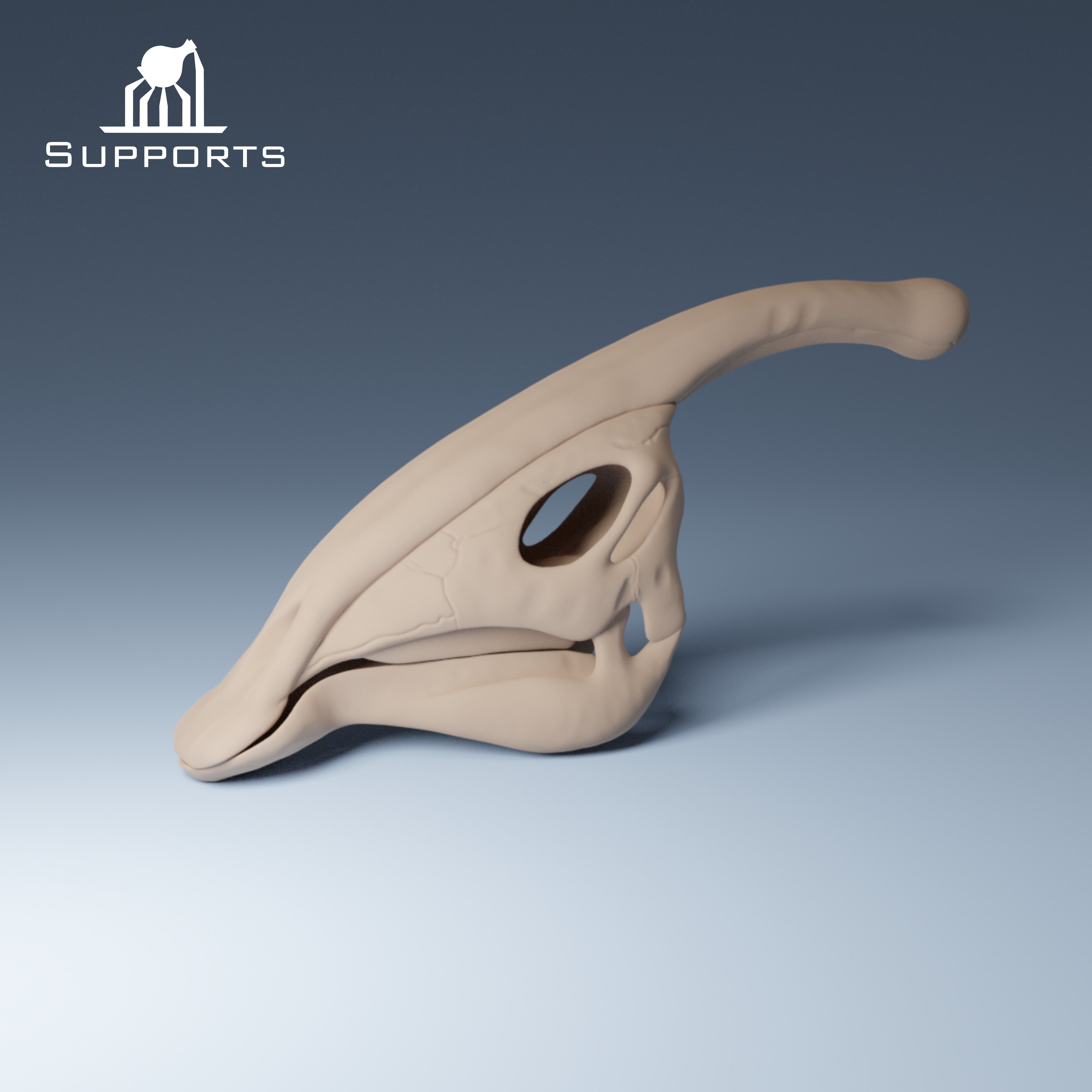 Dinosaur Skulls - Group 1