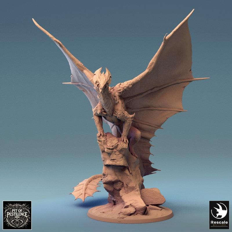 Brass Dragon - Stand