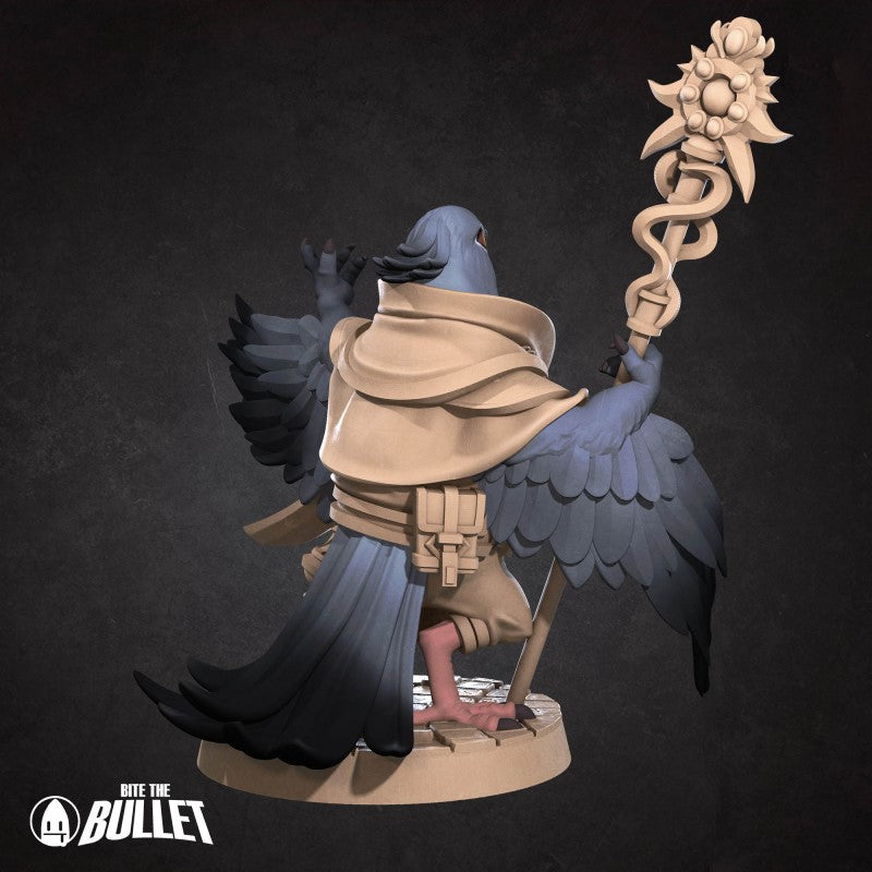 Pidgeon Cleric