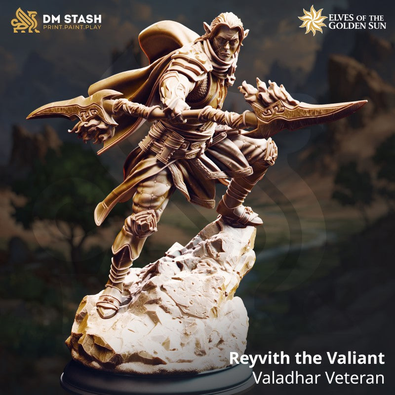 Reyvith the Valiant