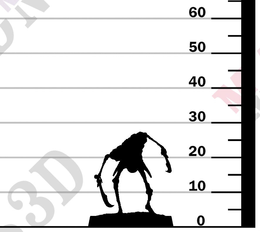 Persian Skeleton - Crowl