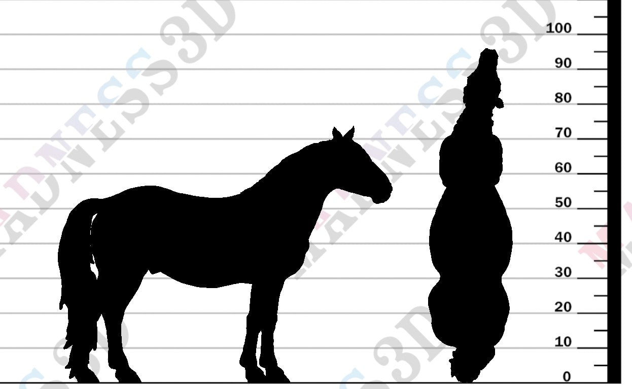 Konik Horse