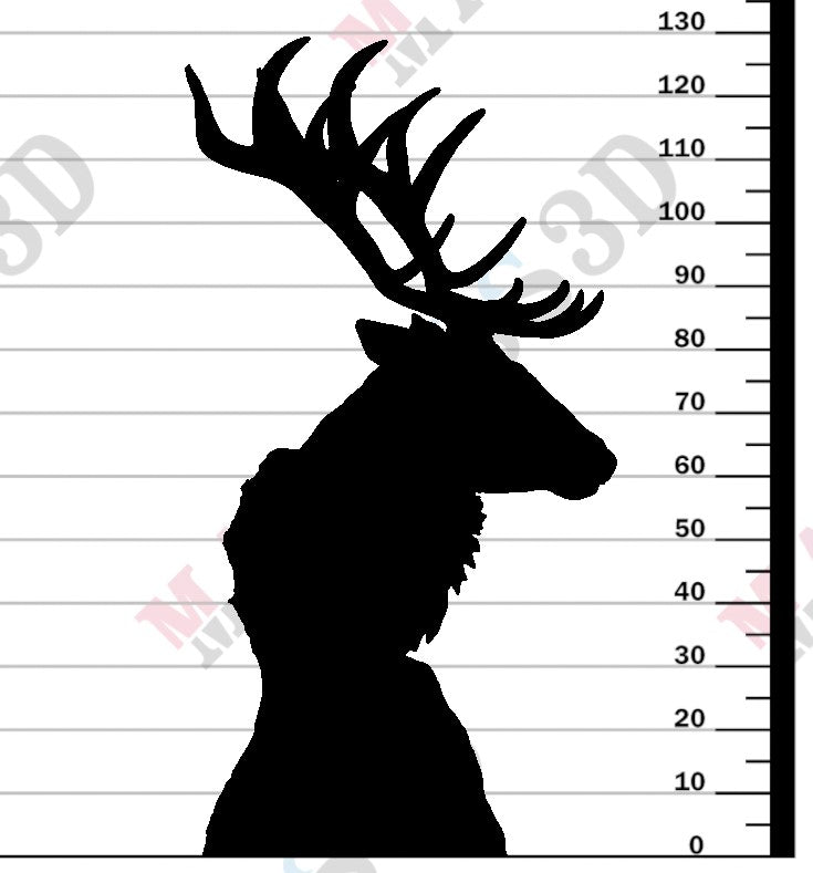 Red Deer - Bust